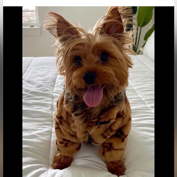 NEW 🐾 designer doggie jacket - Picture 4 of 10